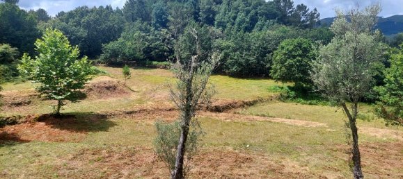 3 غرف نوم منزل في Vieira do Minho, Portugal رقم 32494 12