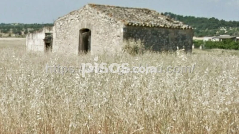 10700m² Land in Santa Margalida, Spain No. 211066