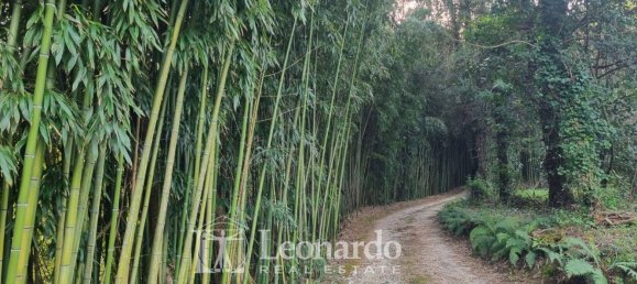 6 rooms House in Camaiore, Italy No. 45496 37