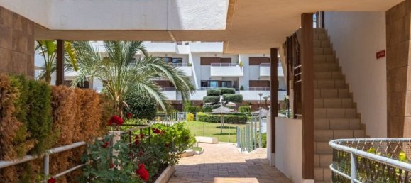 3 bedrooms Penthouse in La Zenia, Spain No. 177350 23