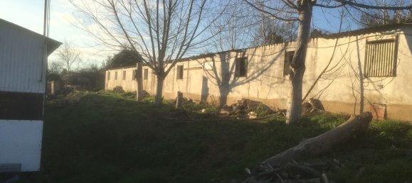 35 غرف نوم منزل في Huelva, Spain رقم 157529 8