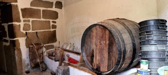 9 bedrooms House in Sao Joao da Pesqueira, Portugal No. 68732 43