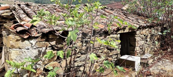 9 bedrooms House in Sao Joao da Pesqueira, Portugal No. 68732 32