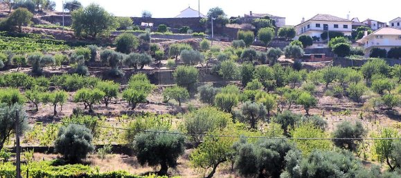 9 bedrooms House in Sao Joao da Pesqueira, Portugal No. 68732 39