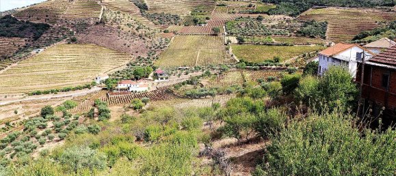 9 bedrooms House in Sao Joao da Pesqueira, Portugal No. 68732 21