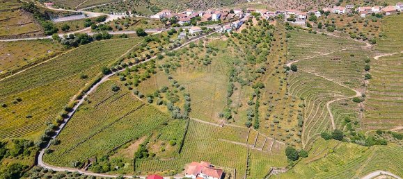 9 bedrooms House in Sao Joao da Pesqueira, Portugal No. 68732 49