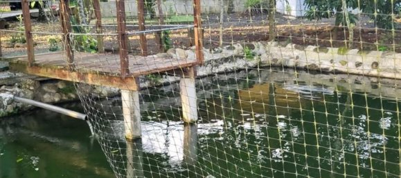 3 bedrooms House in Alajuela, Costa Rica No. 852 5