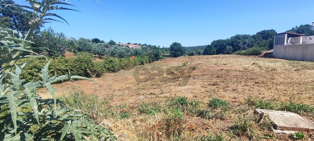 Terreno en Tomar, Portugal No. 218690