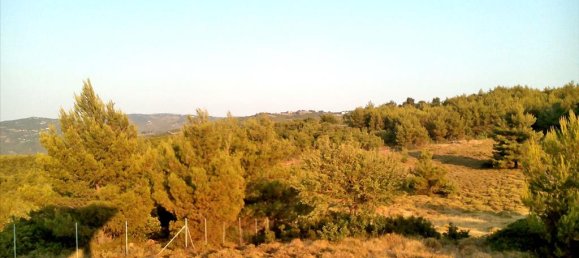 Hotel em Kalamos, Greece 7300 m² N.º 7061 2