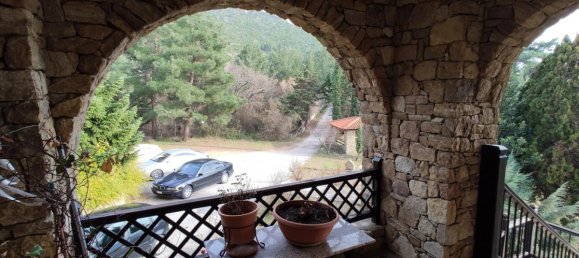 8 غرف نوم فيلا في Chalkidiki, Greece رقم 1443 13