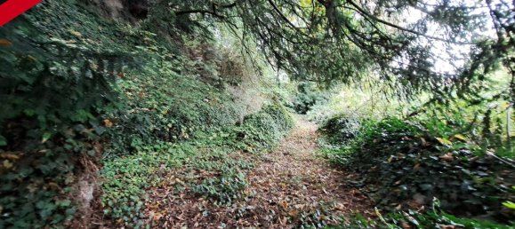 3 bedrooms House in Auxi-le-Chateau, France No. 209391 13