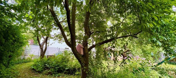 5غرفة منزل في Hernals, Austria رقم 127780 30