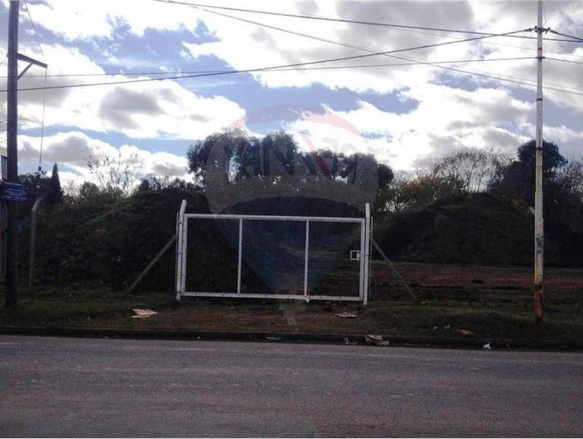 Terrain à Pilar, Argentina No. 50598