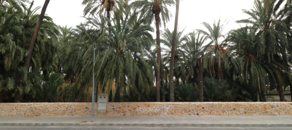 1 room Land in Alicante, Spain No. 146894 12