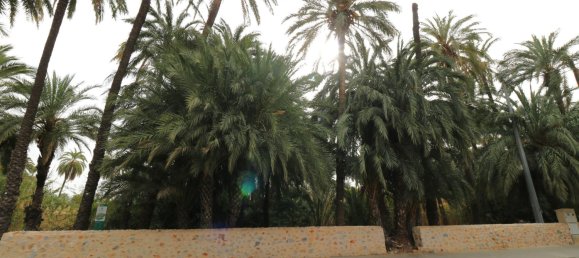 1 room Land in Alicante, Spain No. 146894 6