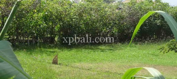 Grundstück in Seminyak, Indonesia 8600m², Nr. 3839 4