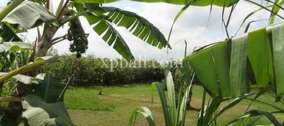 Grundstück in Seminyak, Indonesia 8600m², Nr. 3839 5