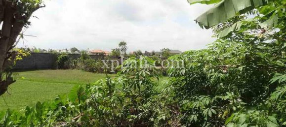 Grundstück in Seminyak, Indonesia 8600m², Nr. 3839 2