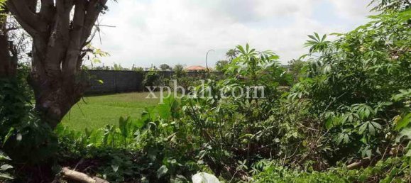 Grundstück in Seminyak, Indonesia 8600m², Nr. 3839 3