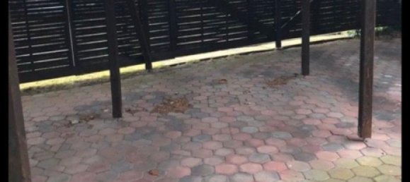 1 chambre Appartement à Bremerhaven, Germany No. 283792 11