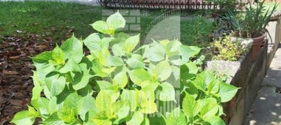 4 bedrooms Apartment in Porto Mantovano, Italy No. 362233 4