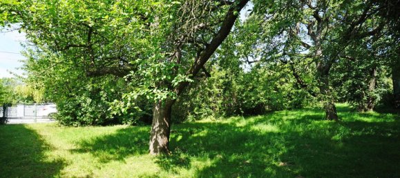 3 rooms Land in Gablitz, Austria No. 36333 2