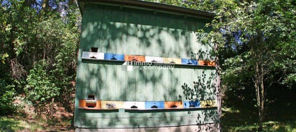 5 rooms House in Altenmarkt an der Triesting, Austria No. 251584 21