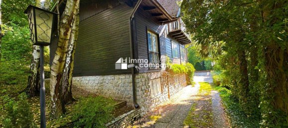 5 rooms House in Altenmarkt an der Triesting, Austria No. 251584 7