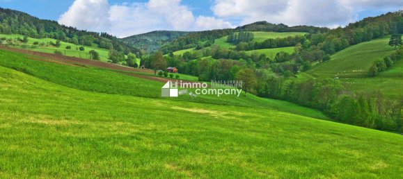 5 rooms House in Altenmarkt an der Triesting, Austria No. 251584 10