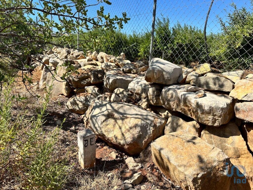  قطعة أرض في Tavira, Portugal 5570متر مربع رقم 303528