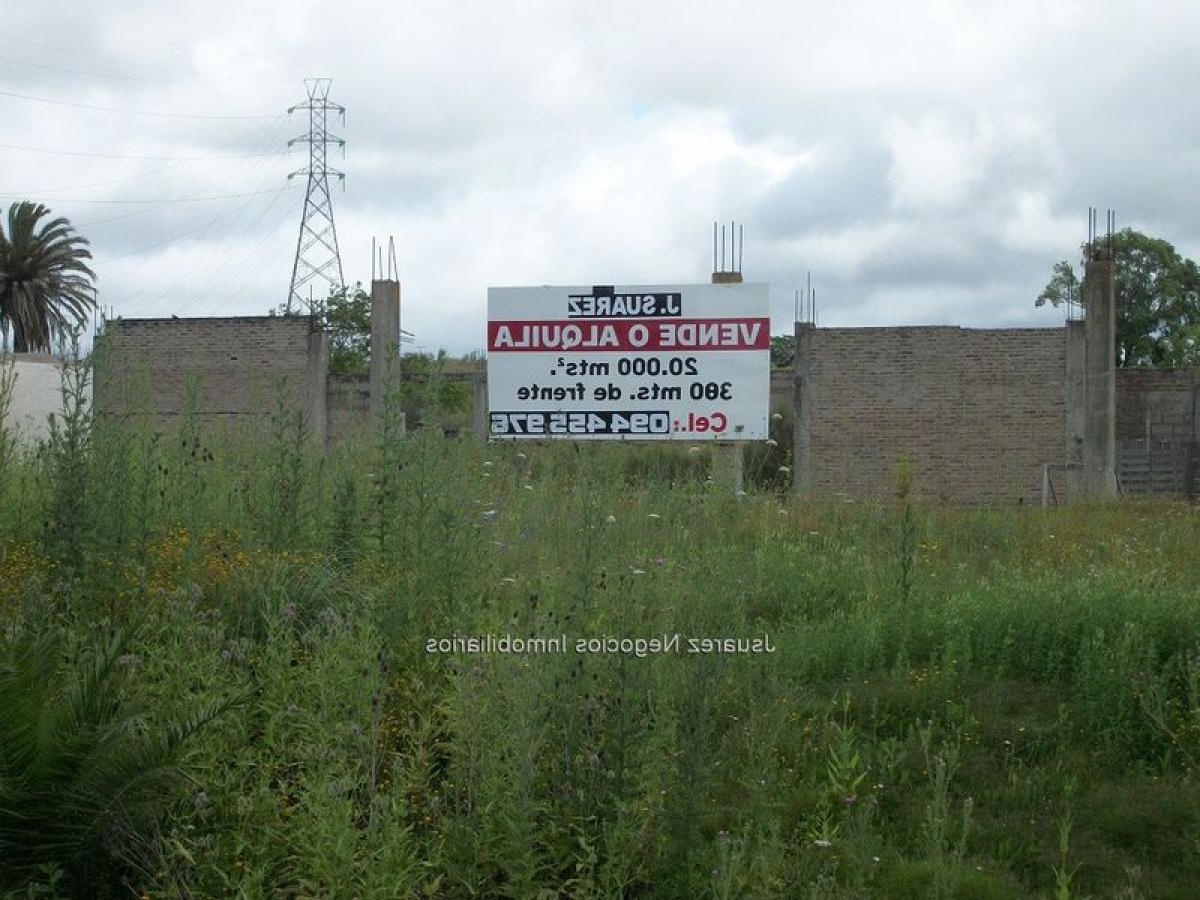 Земельный участок в Монтевидео, Уругвай № 13867