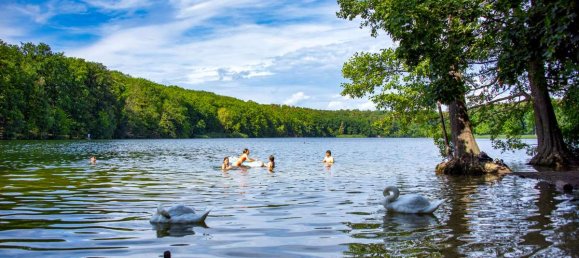 3-Zimmer Wohnung in Schlachtensee, Germany, Nr. 83642 17