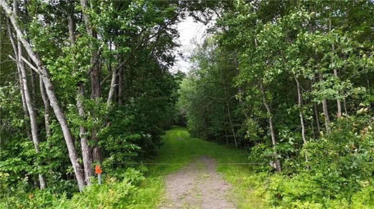  Land in Hayward, USA No. 541681