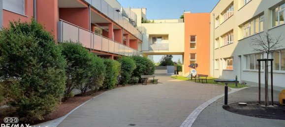 1 bedroom Apartment in Leobersdorf, Austria No. 77260 11