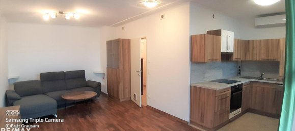 1 bedroom Apartment in Leobersdorf, Austria No. 77260 13
