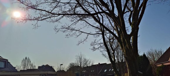 6 غرف نوم تاون هاوس في Ostholstein, Germany رقم 327215 9