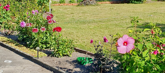 Bungalow de 2 divisões em Potsdam-Mittelmark, Germany N.º 233955 7