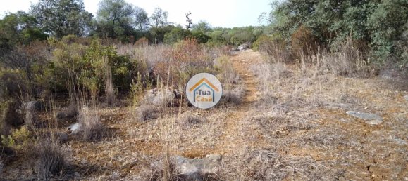 Grundstück in Santa Catarina da Fonte do Bispo, Portugal 8150m², Nr. 73412 2