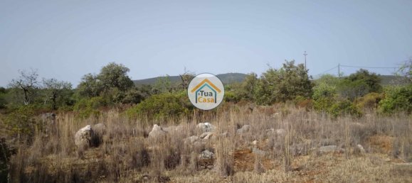 Grundstück in Santa Catarina da Fonte do Bispo, Portugal 8150m², Nr. 73412 10