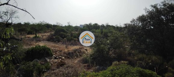 Grundstück in Santa Catarina da Fonte do Bispo, Portugal 8150m², Nr. 73412 5