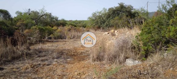 Grundstück in Santa Catarina da Fonte do Bispo, Portugal 8150m², Nr. 73412 14