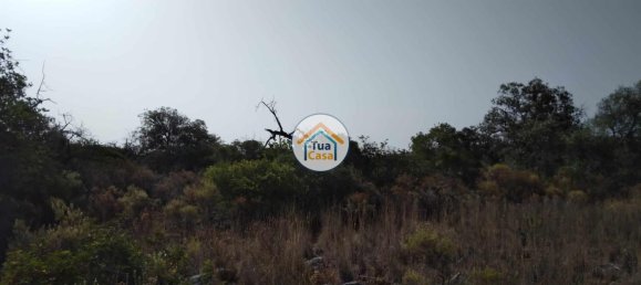 Grundstück in Santa Catarina da Fonte do Bispo, Portugal 8150m², Nr. 73412 8