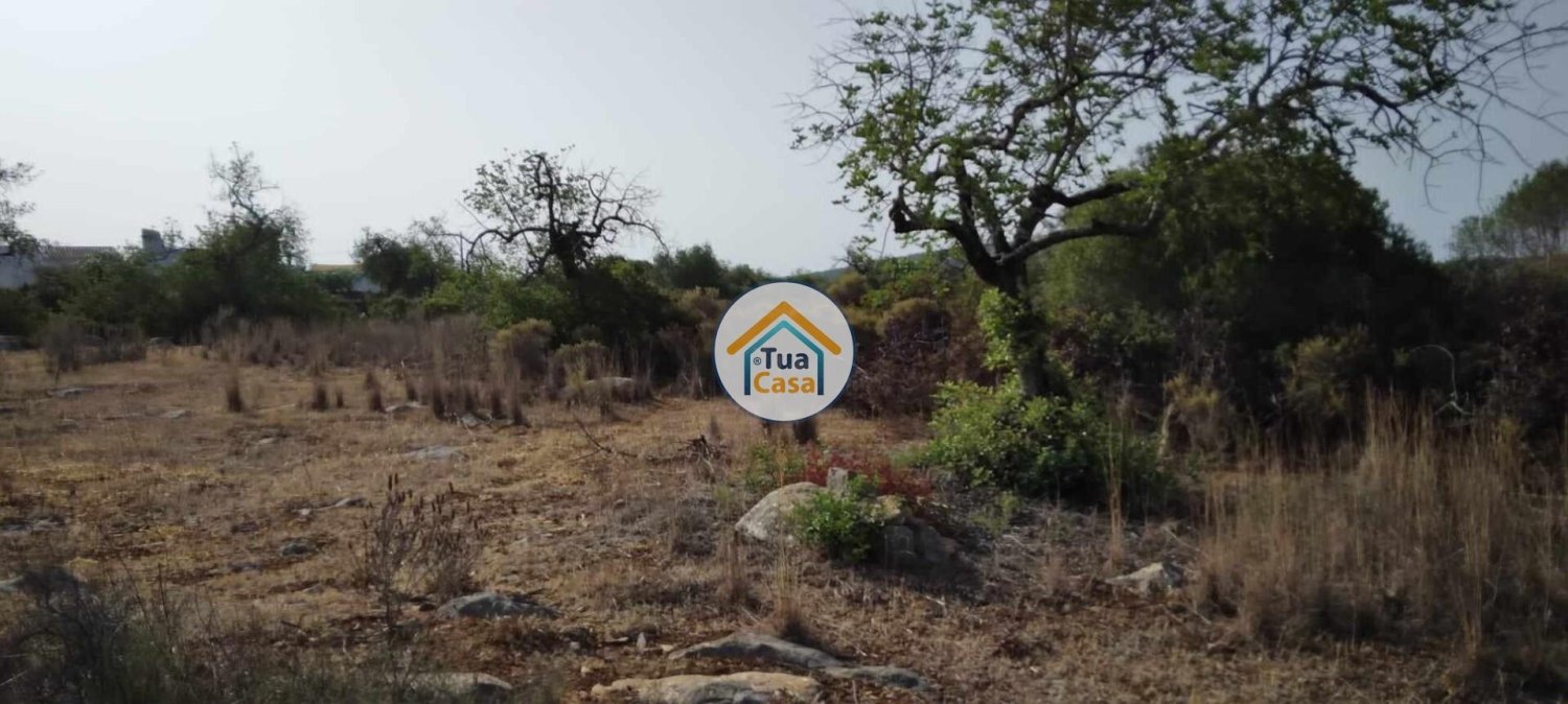 Grundstück in Santa Catarina da Fonte do Bispo, Portugal 8150m², Nr. 73412