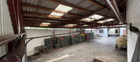 10-Zimmer Haus in Poysdorf, Austria, Nr. 226173 7