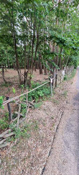  قطعة أرض في Potsdam-Mittelmark, Germany رقم 88177