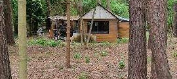  قطعة أرض في Potsdam-Mittelmark, Germany رقم 88177 4