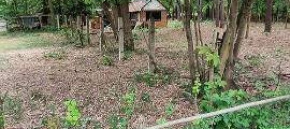  قطعة أرض في Potsdam-Mittelmark, Germany رقم 88177 3