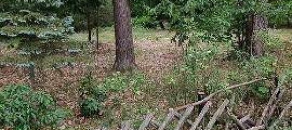  قطعة أرض في Potsdam-Mittelmark, Germany رقم 88177 2