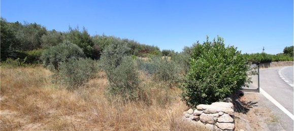 7200m² Land in Orjais, Portugal No. 67178 6