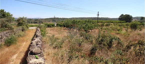 7200m² Land in Orjais, Portugal No. 67178 12